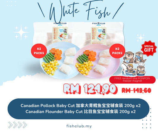 [Group Buy Exclusive] Baby White Fish Set 宝宝白鱼配套
