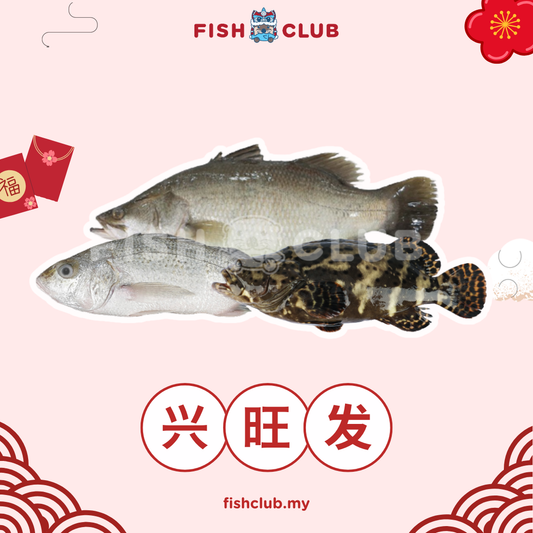 CNY Heng Ong Huat / 兴旺发