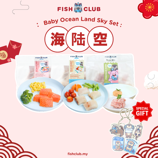 CNY Baby Oceon Land Sky Set / 新岁海陆空配套