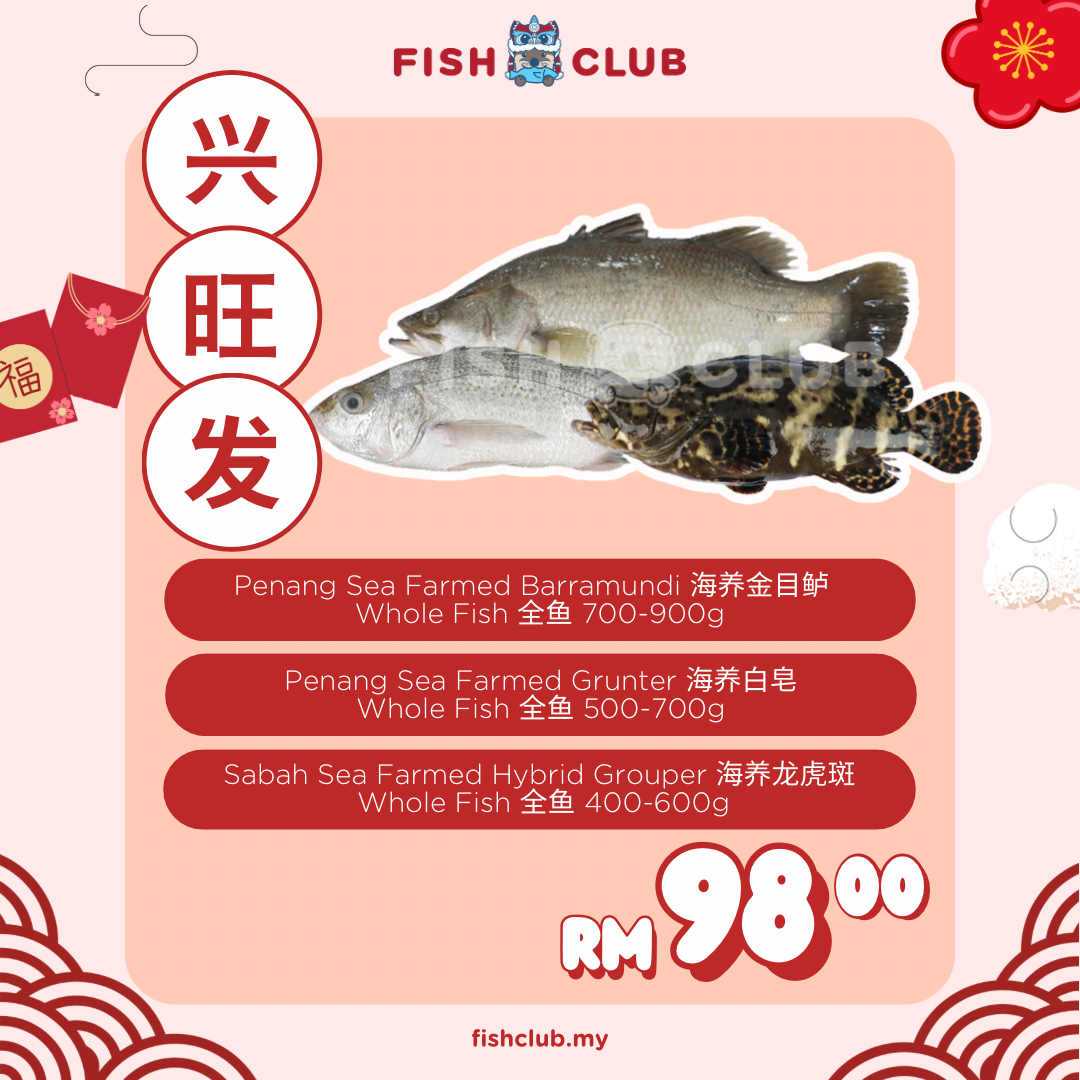 CNY Heng Ong Huat / 兴旺发