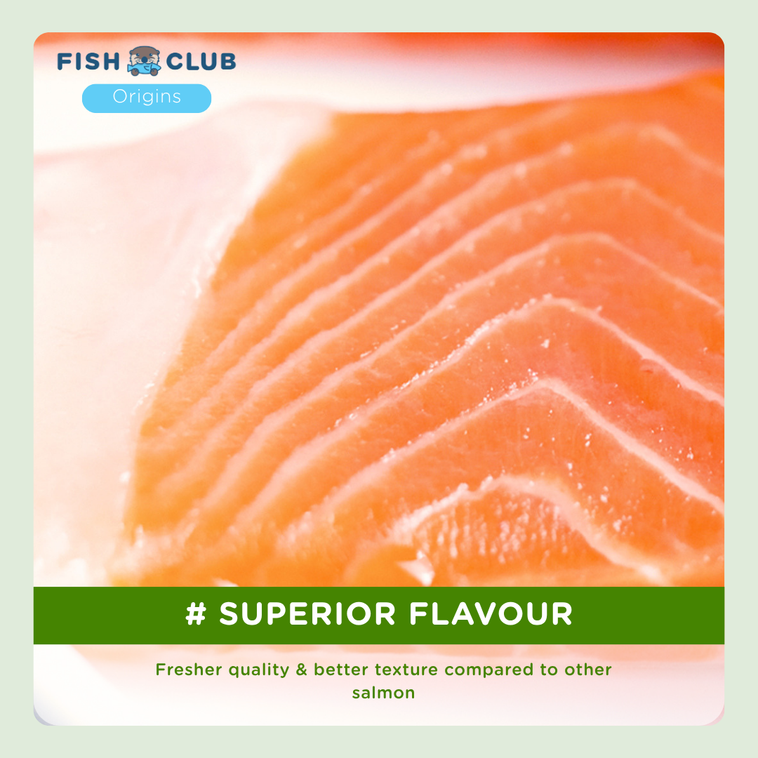 Fish Club Origins' Organic Norwegian Atlantic Salmon Fillet