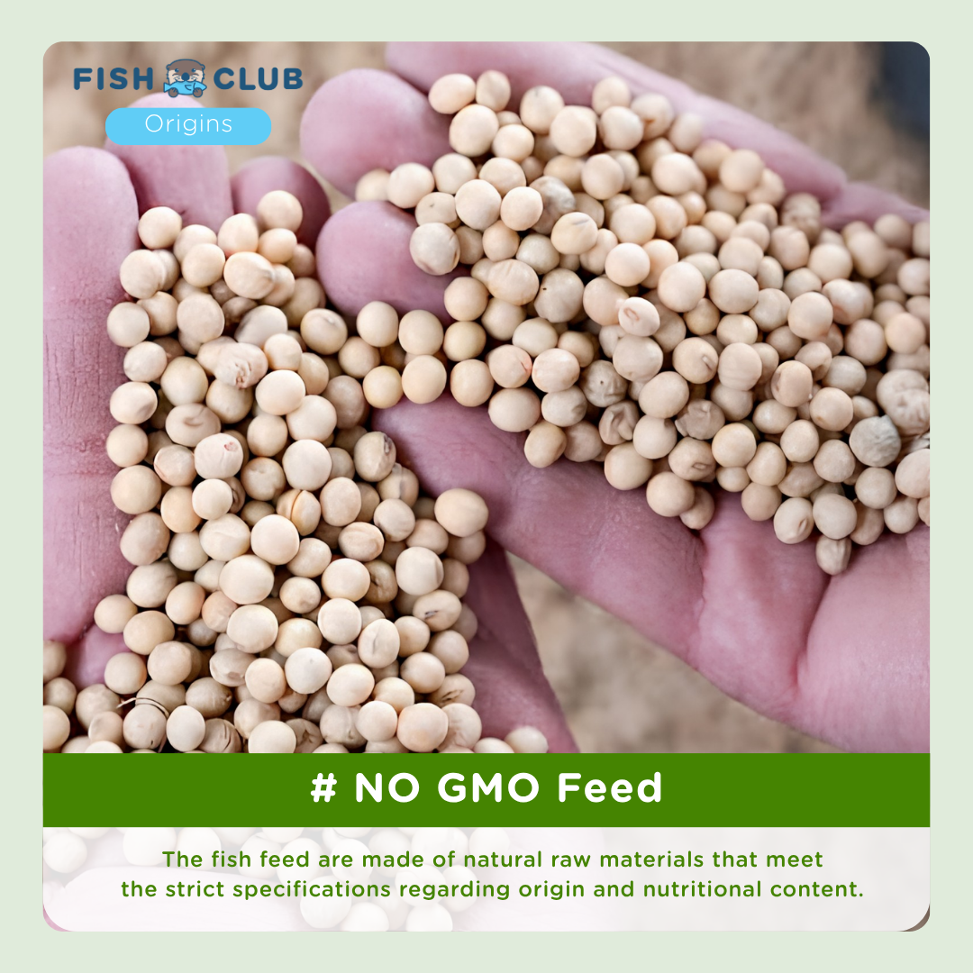Fish Club Origins' Organic Norwegian Atlantic Salmon Fillet