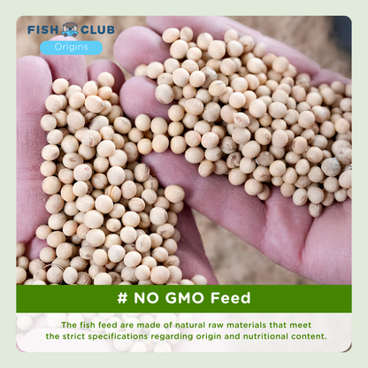 Fish Club Origins' Organic Norwegian Atlantic Salmon Fillet