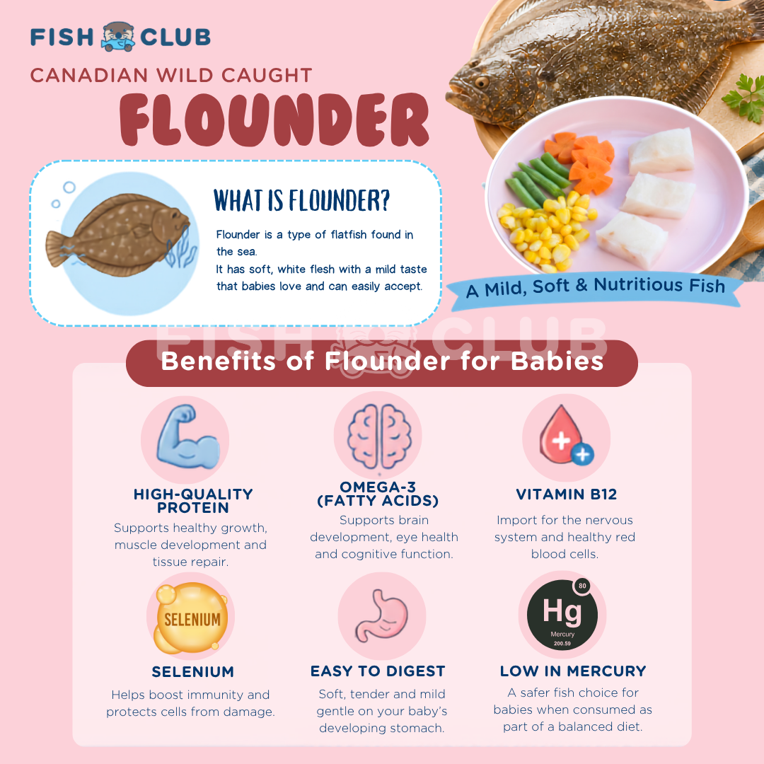 Fish Club Origins' Canadian Flounder 加拿大比目鱼 (Baby Cut) (200g)