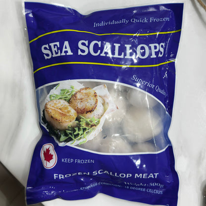 Wild Scallop /带子 - 500g (新包装)