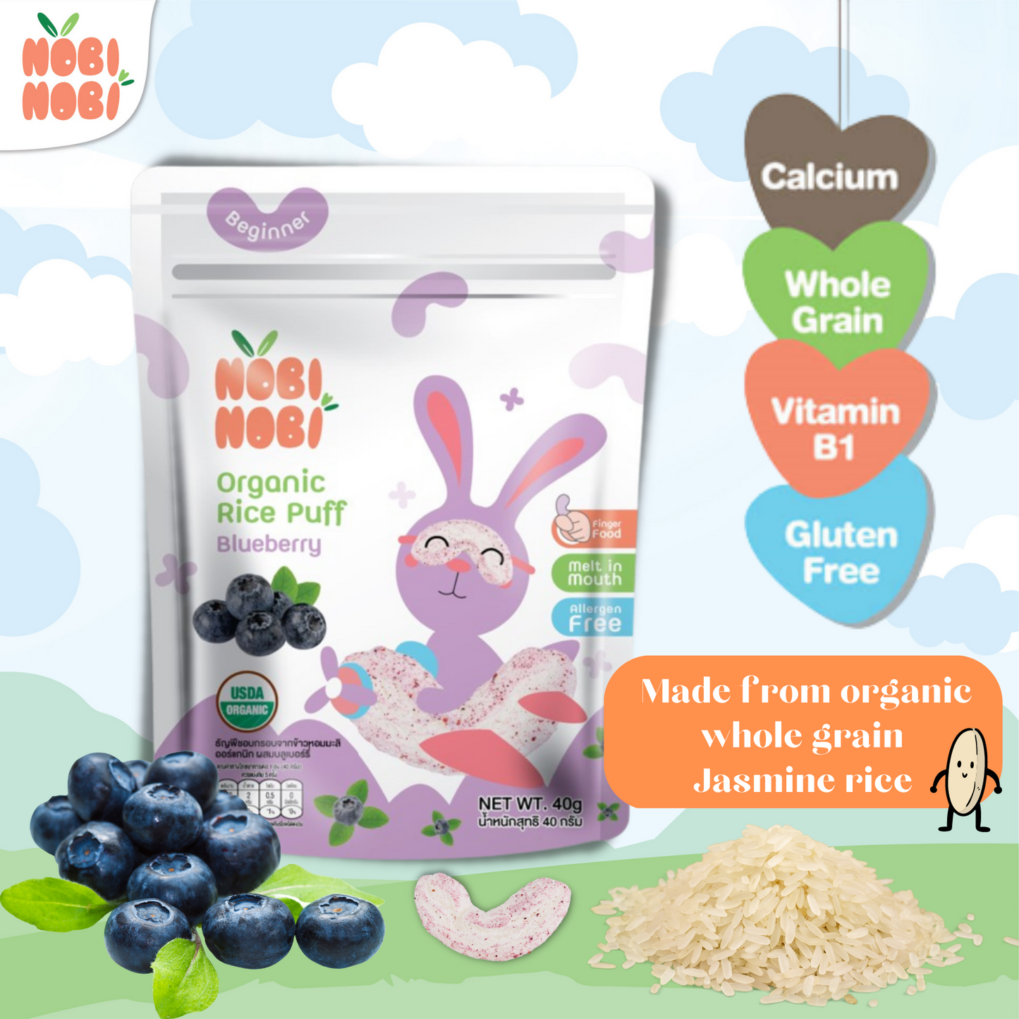 Nobi Nobi Baby Organic Rice Puff (3Flavour) / 宝宝有机米饼 - 40g