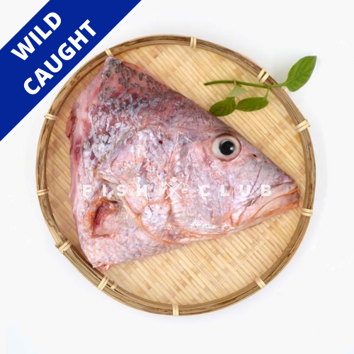Red Snapper (Local Wild) Head / 红鱼(本地野生)鱼头 – Fish Club