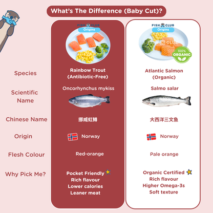 Fish Club Origins’ Antibiotic-Free Norwegian Rainbow Trout 挪威虹鳟 (Baby Cut)