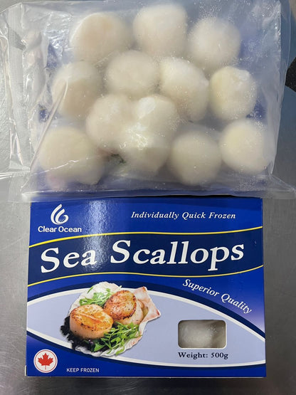 Wild Scallop /带子 - 500g (新包装)