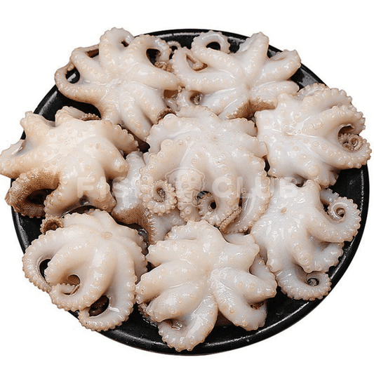 Baby Octopus / 小章鱼 - 300g - Fish Club
