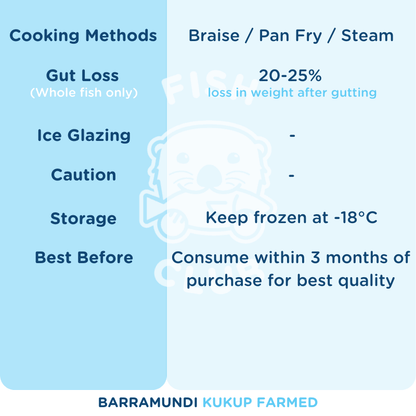 Barramundi (Kukup Farmed) Fillet / 金目鲈（龟咯海养）厚片 - Fish Club