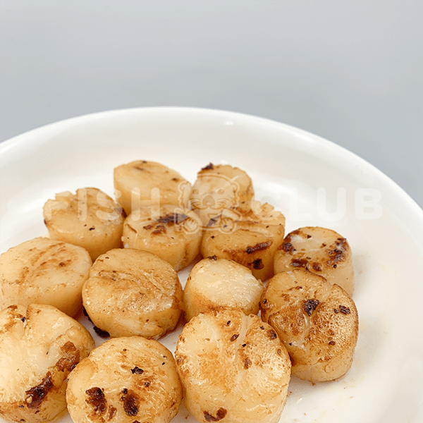 Canadian Wild Scallop / 加拿大带子 - 500g - Fish Club