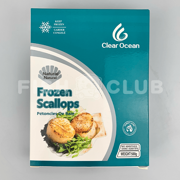 Canadian Wild Scallop / 加拿大带子 - 500g - Fish Club