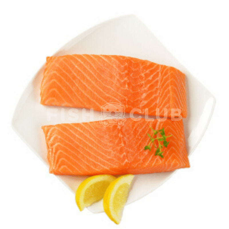 Chilean Atlantic Salmon Fillet / 智利大西洋三文鱼厚片 - Fish Club