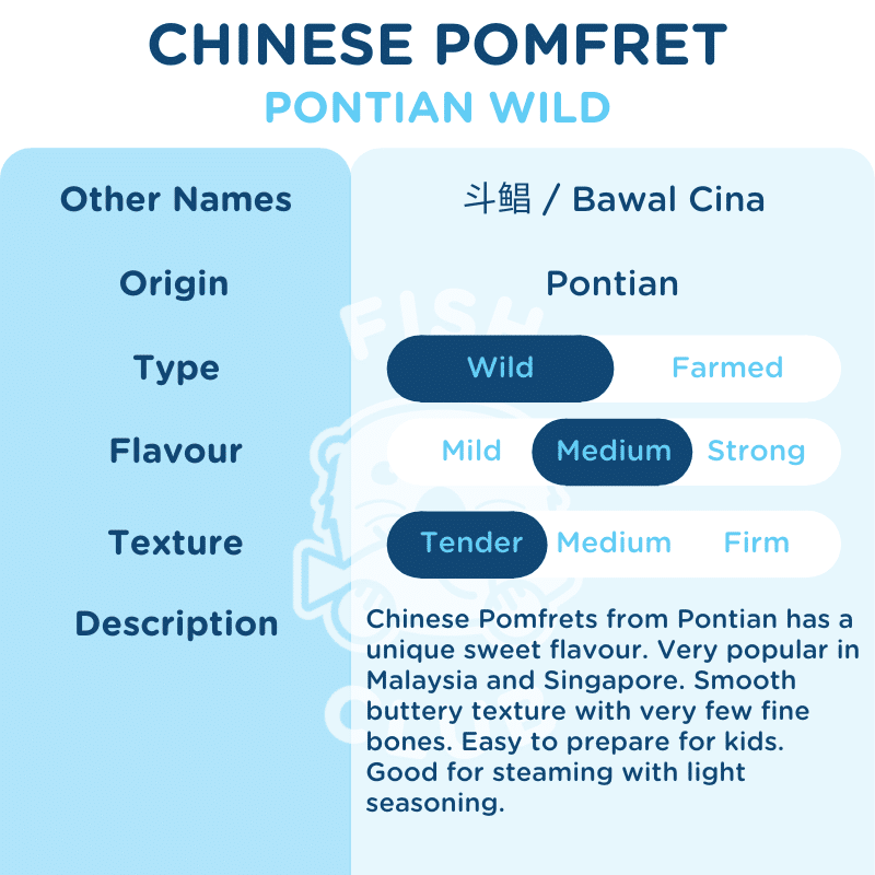 Chinese Pomfret (Pontian Wild) / 斗鲳（笨珍野生） - Fish Club