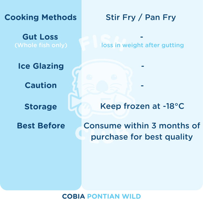 Cobia (Pontian Wild) Fillet / 海鲡（笨珍野生）厚片 - Fish Club