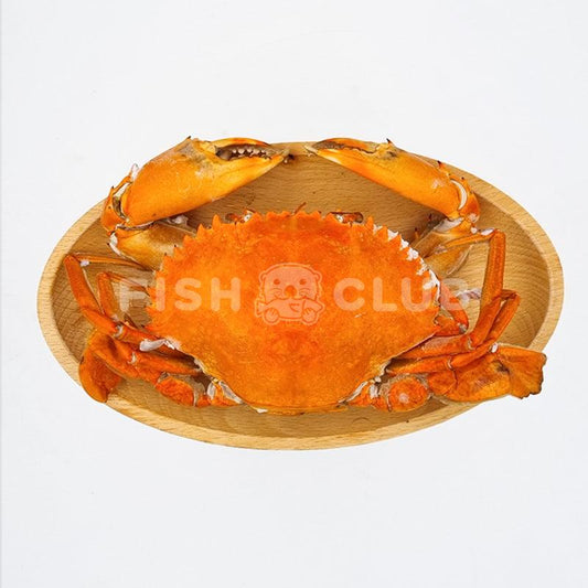 Cooked Mud Crab (Indonesia Wild) / 熟泥蟹 (印尼野生) - M (250-350g) - Fish Club