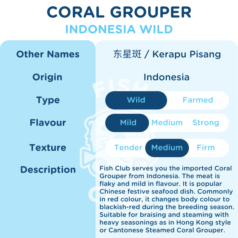 Coral Grouper (Indo Wild) Steak / 七星斑（印尼野生）鱼段 - Fish Club