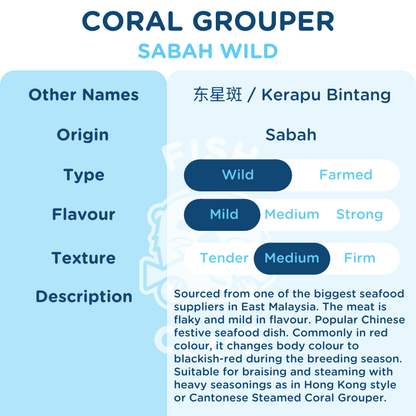 Coral Grouper (Sabah Wild) Fillet / 七星斑（沙巴野生) 厚片 - Fish Club