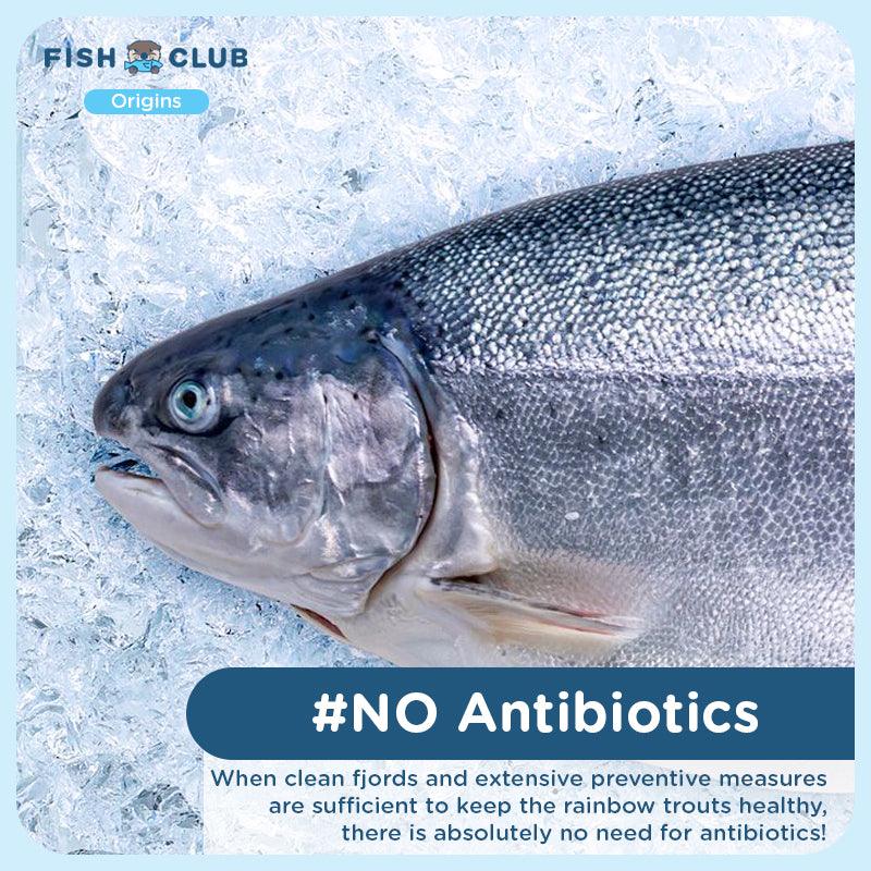 Fish Club Origins' Antibiotic-Free Norwegian Rainbow Trout - Fish Club