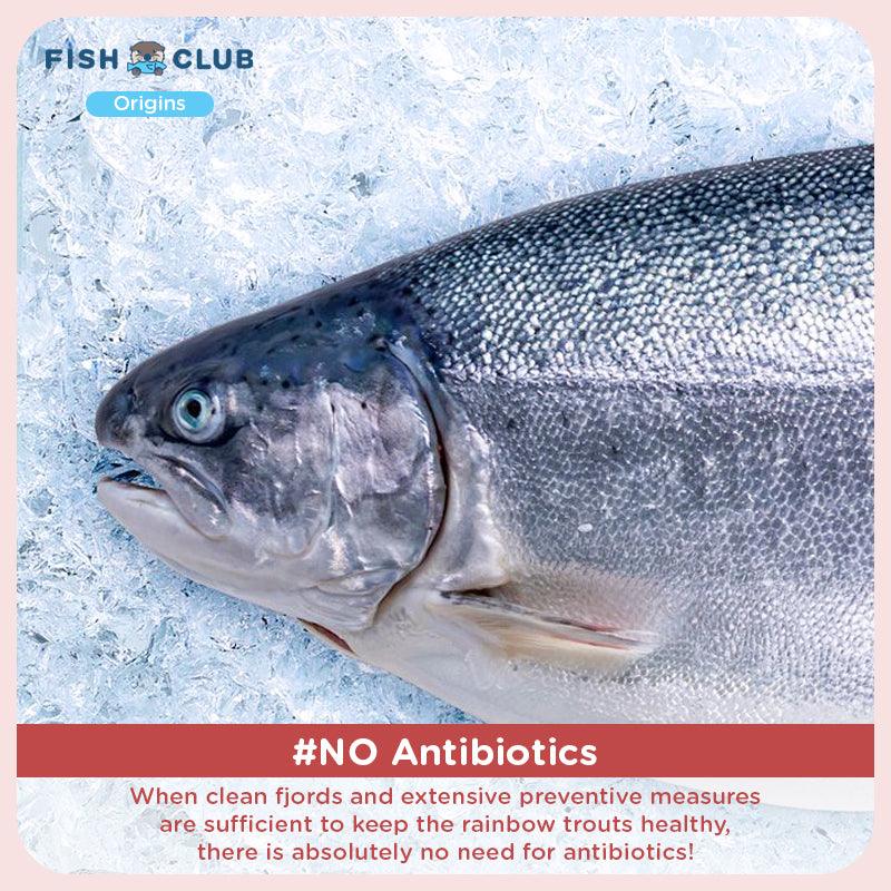 Fish Club Origins’ Antibiotic-Free Norwegian Rainbow Trout (Baby Cut) - Fish Club