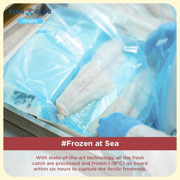 Fish Club Origins' Norwegian Atlantic Cod 挪威大西洋鳕鱼 (Baby Cut)