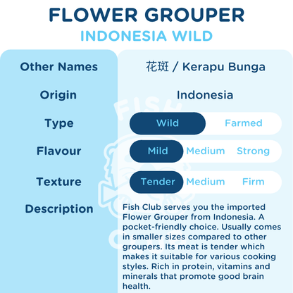 Flower Grouper (Indo Wild) / 花斑（印尼野生） - Fish Club