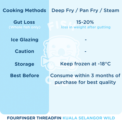 Fourfinger Threadfin (Kuala Selangor Wild) Fillet / 白午 (瓜雪野生) 厚片 - Fish Club