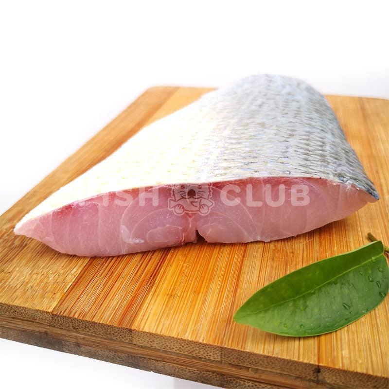 Fourfinger Threadfin (Kuala Selangor Wild) Fillet / 白午 (瓜雪野生) 厚片 - Fish Club