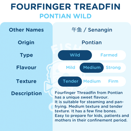 Fourfinger Threadfin (Pontian Wild) Fillet / 白午（笨珍野生）厚片 - Fish Club