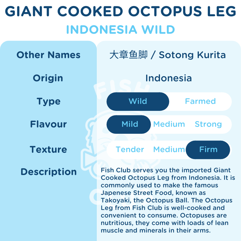 Giant Octopus Leg / 大章鱼脚 - 250g - Fish Club