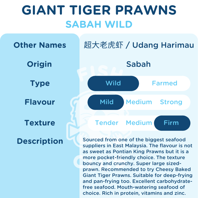 Giant Tiger Prawns (Sabah Wild) / 超大老虎虾 (沙巴野生) - 300g (2-5pcs) - Fish Club