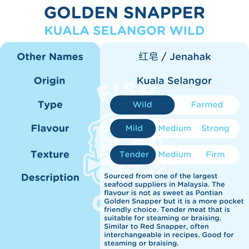 Golden Snapper (Kuala Selangor Wild) Head / 红皂（瓜雪野生）鱼头 - Fish Club