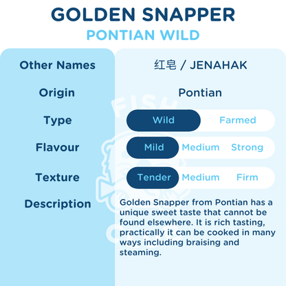 Golden Snapper (Pontian Wild) Fillet / 野生红皂（笨珍野生）厚片 - Fish Club