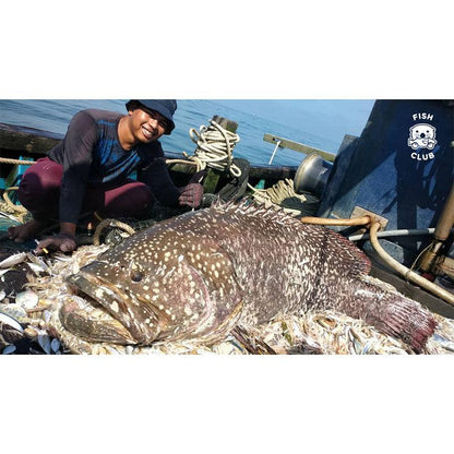 Goliath Grouper (Pontian Wild) Belly / 龙趸（笨珍野生）鱼肚 - 250g - Fish Club