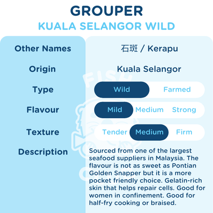 Grouper (Kuala Selangor Wild) Whole Steak / 石斑 (瓜雪野生) 全鱼段 - Fish Club
