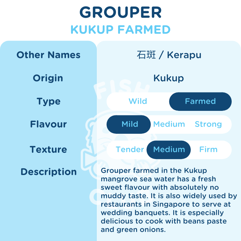 Grouper (Kukup Farmed) Head / 石斑（龟咯海养）鱼头 - Fish Club