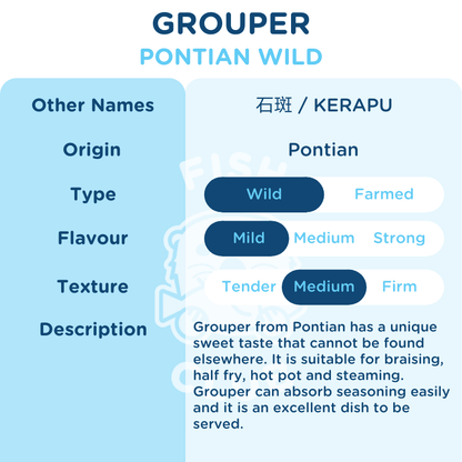 Grouper (Pontian Wild) Head / 石斑（笨珍野生）鱼头 - Fish Club