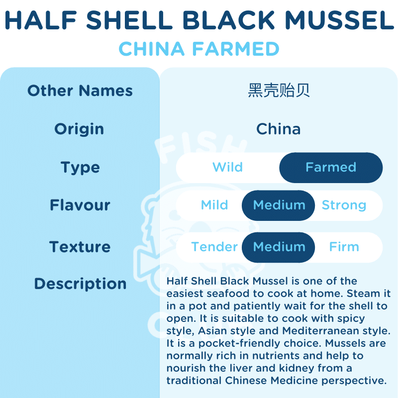Half Shell Black Mussel / 黑壳贻贝 - 900g - Fish Club
