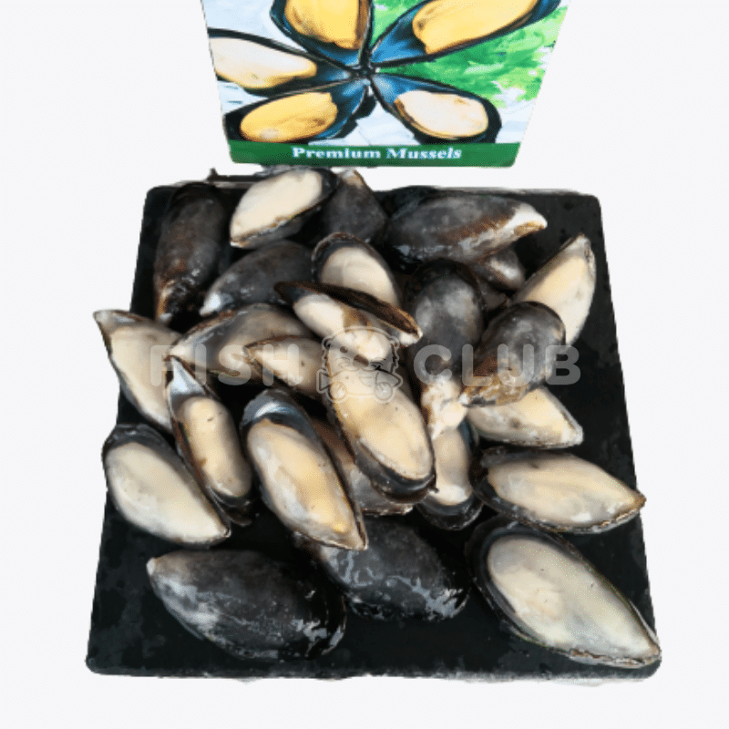 Half Shell Black Mussel / 黑壳贻贝 - 900g - Fish Club