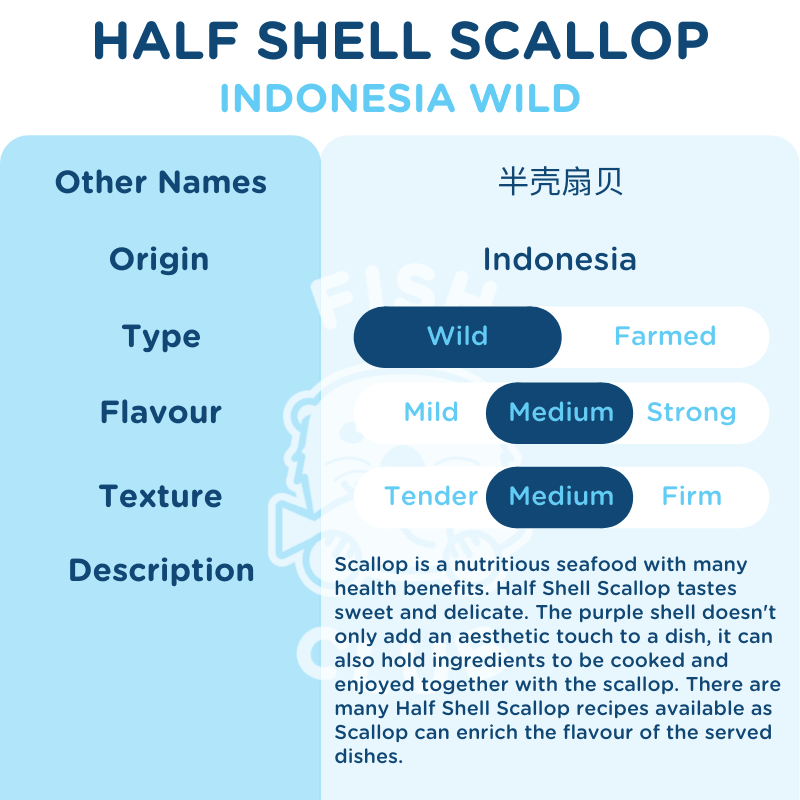 Half Shell Scallop / 半壳大扇贝 - 500g - Fish Club