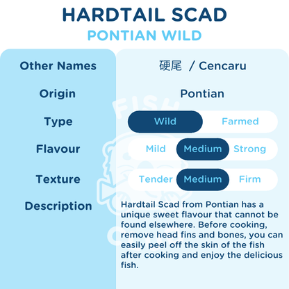 Hardtail Scad (Pontian Wild) / 硬尾（笨珍野生） - Fish Club