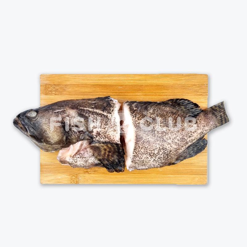 Hybrid Grouper (Sabah Farmed) Whole Steak / 龙虎斑 (沙巴养殖) 全鱼段 - Fish Club