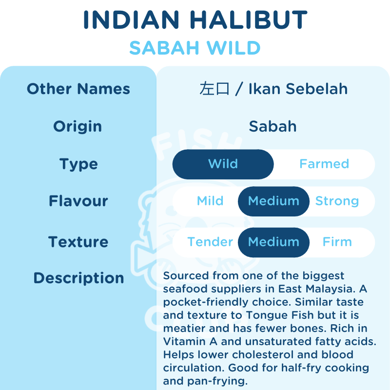 Indian Halibut (Sabah Wild) / 左口 (沙巴野生) - Fish Club