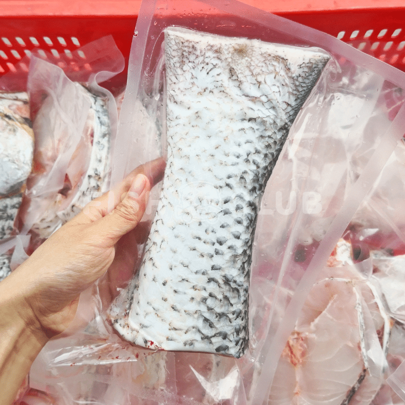 Indian Threadfin (Pontian Wild) Whole Steak / 黑午（笨珍野生）全鱼段 - Fish Club