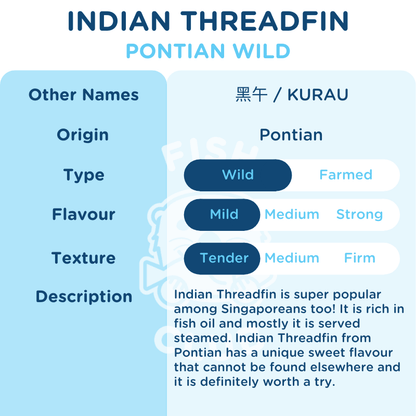 Indian Threadfin (Pontian Wild) Whole Steak / 黑午（笨珍野生）全鱼段 - Fish Club