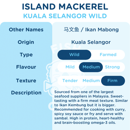 Island Mackerel (Kuala Selangor Wild) / 马文鱼 (瓜雪野生) - 500g - Fish Club