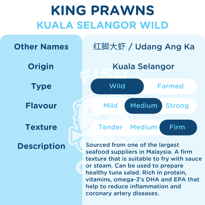 King Prawns (Kuala Selangor Wild) / 红脚大虾（瓜雪野生）- 300g - Fish Club
