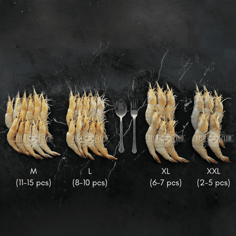 King Prawns (Pontian Wild) / 红脚大虾（笨珍野生）- 300g - Fish Club