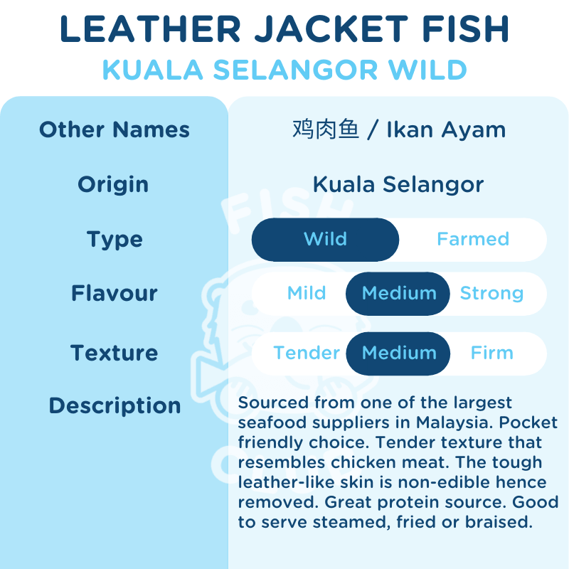 Leather Jacket Fish (Kuala Selangor Wild) Whole Steak / 肉竹鱼（瓜雪野生）全鱼段 - Fish Club